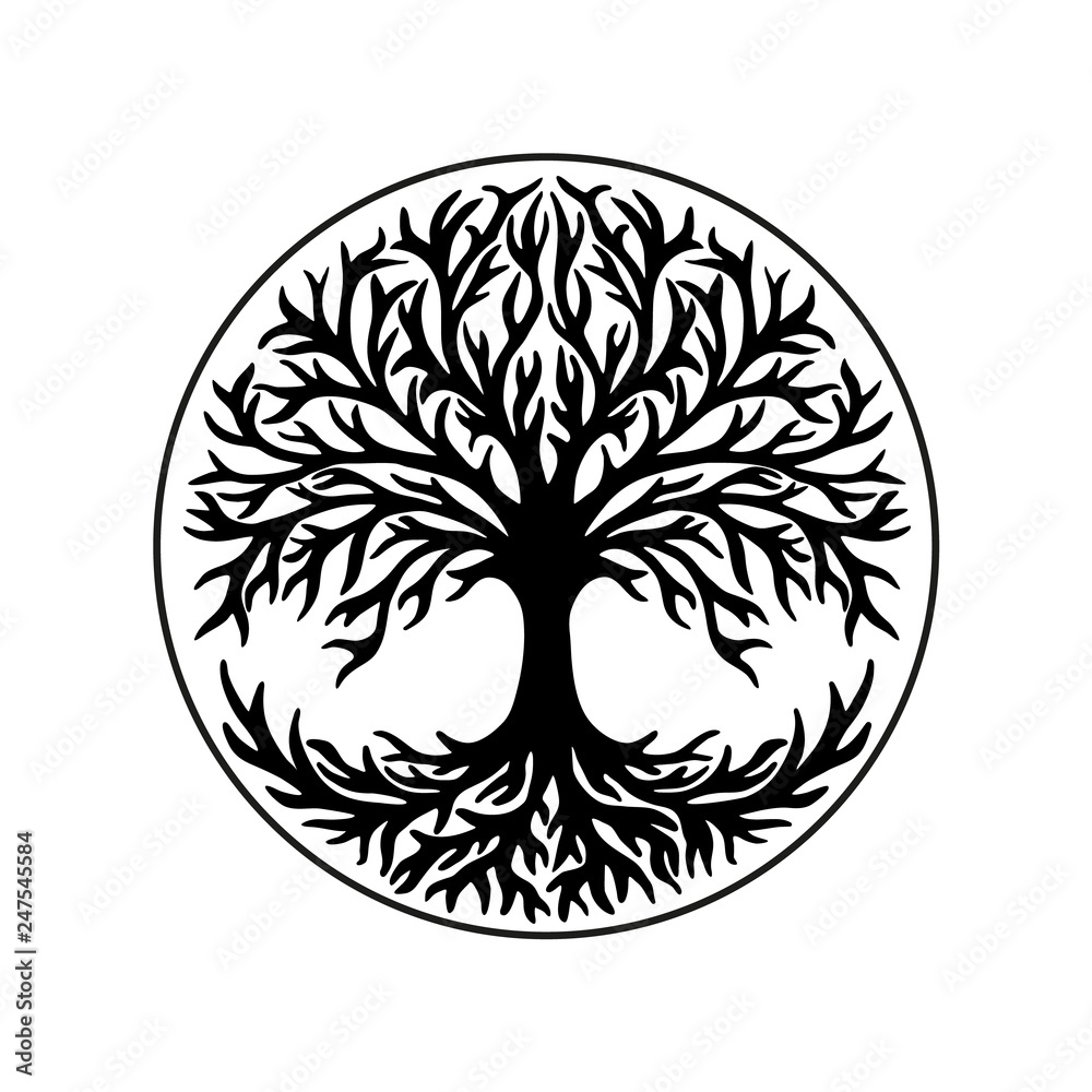 Wall mural tree of life, celtic symbol