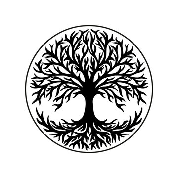 Tree of life, celtic symbol