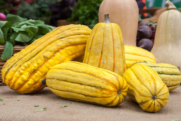 Decorative colorful pumpkins for sale at Union Square Greenmarket in NYC