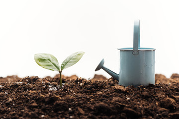 toy watering can near small green plant isolated on white