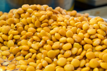 Cooked Yellow Lupinus albus beans for sale at farmers market