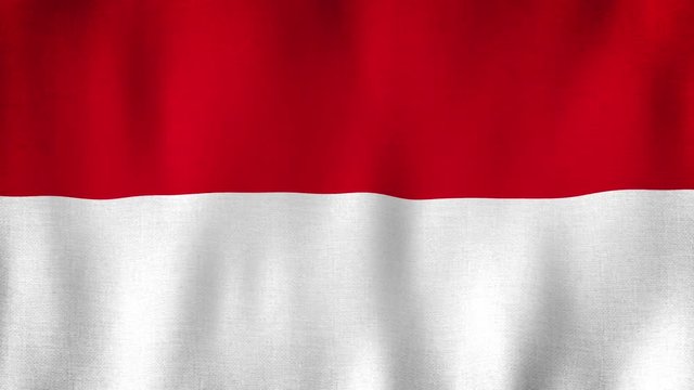 Monaco flag waving in the wind. Closeup in 4k of realistic flag with highly detailed fabric texture