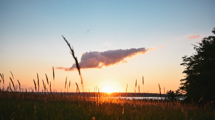 sunset over wheat field