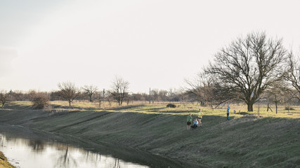 landscape with road and trees