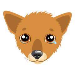 Sad Dog Face Emoticon Vector Icon. Vector Head Cute Sad Face Pet Animal. Crying Dog Emoji. When You're Depressed. What Is Your Dog Saying When Making A Sad Face.