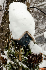 Birdhouse with it's Winter hat