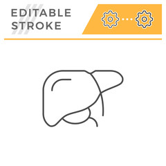 Fototapeta premium Liver line icon