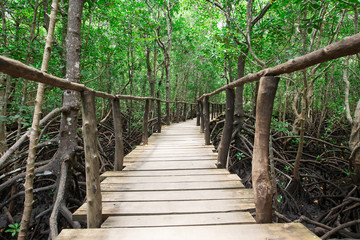 Obraz premium Garden stone path with grass