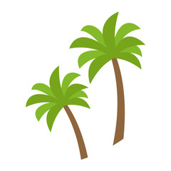 Palm trees isolated on white. Two palm trees. Vector illustration. EPS 10.