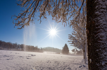 Winterwonderland