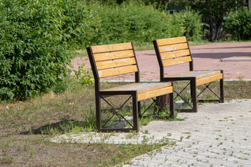 wooden benches in summer park