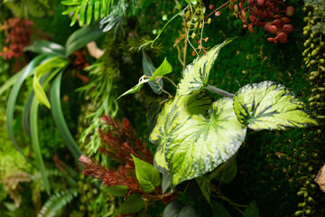 Wall of artificial flowers