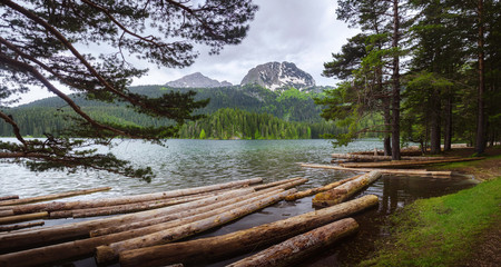 Green lake in Montenegro with wood logs floating near the shore