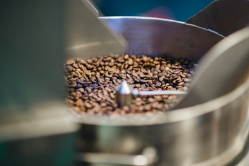 Freshly Roasted Coffee Beans in Cooling Tray of Coffee Roasting Machine - 247559914