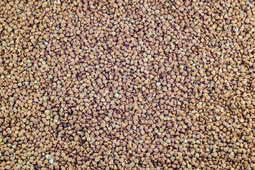  The product of the agricultural industry is buckwheat. Close-up