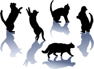 five black cats with shadows