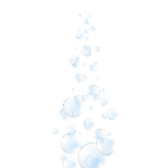 Vector Soap Water Bubbles. Transparent Isolated Realistic Design Elements. Can be used with any Background