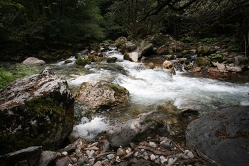 Crni Drim River in Macedonia