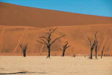 Namibia Namib desert Deadvlei