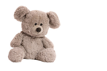 Soft toy shaggy Teddy bear. Isolated on white