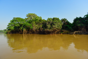 Pantanal forest ecosystem, Mato Grosso, Brazil