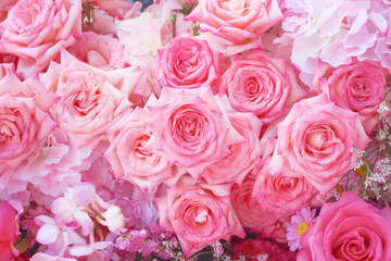 Colorful multicolored ornamental of beautiful pink roses  blooming patterns group texture on wall for background