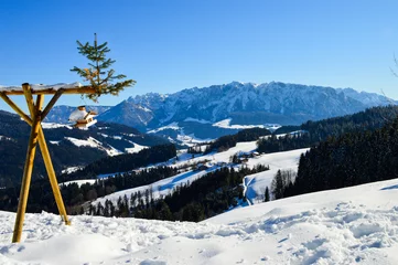 Fotobehang Winter on Mount Erlerberg, Austria © Christina