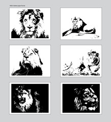 Six vector posters with traced lion heads. Ansi A format mockup