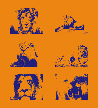 Traced Blue Lion Figures On An Orange Background