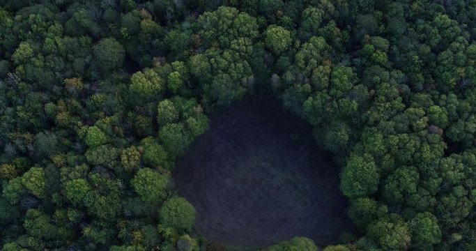 Pull back pan up reveal from a clearing in a dense woodland to reveal the horizon. Shot at Dering woods, Kent, UK