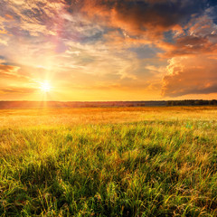 Summer landscape with uncultivated field and beautiful sunset above it.