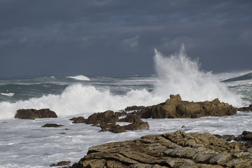 La vague 