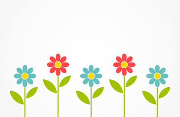 Colorful spring daisy flowers background.