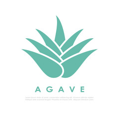 Agave cactus icon