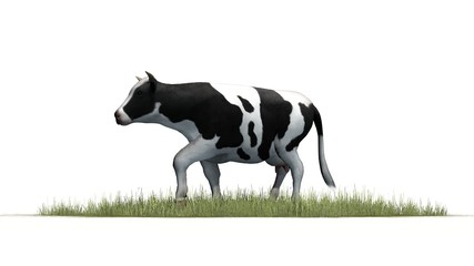 Cow in green grass - separated on white background