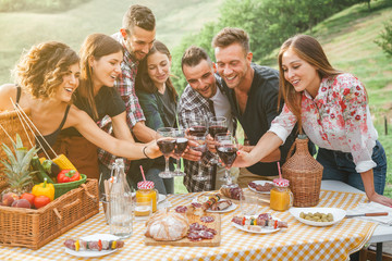 Group of friends making a toast during a barbecue in the countryside