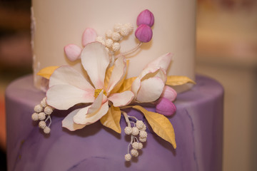wedding cake decorated with white   flowers 