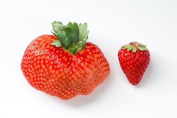 奇形果と普通果のイチゴの比較