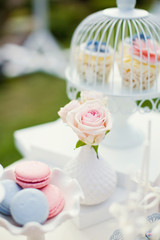 blue and pink macaroons