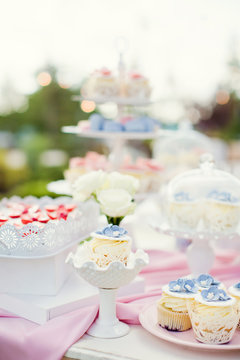 Candy bar with blue, pink and white cupcakes, macaroons and cake pops