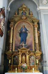 Fototapeta na wymiar Our Lady, altar in the Basilica of the Sacred Heart of Jesus in Zagreb, Croatia