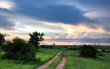 Fototapeta na wymiar Landscape view of Chobe in Botswana after the rains.