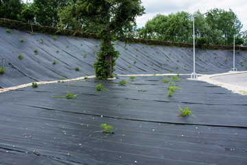 Czarna mata przeciw chwastom © Heroc