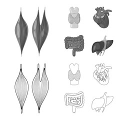 Vector illustration of biology and scientific icon. Set of biology and laboratory stock symbol for web.