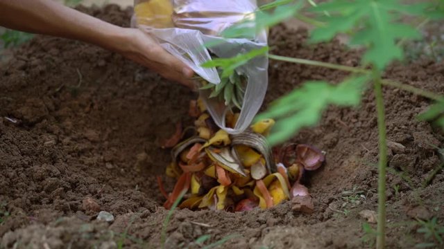 Slowmotion shot of a man that bury organic household leftovers. oncept of reduce of organic waste. Concept of recycling of organic waste.