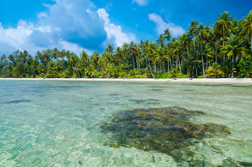 View of tropical beach with transparent water on foreground, hor