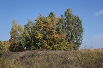 Fototapeta premium природа