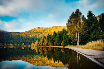 autumn landscape with lake and trees