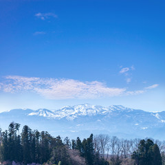 Mounten Zao national park in winter season , Miyagi, Japan.