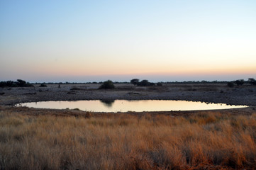Sonnenuntergang Etosha Nambia